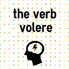 volere italian verb colanguage want